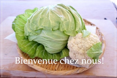 8EDAD905-C9B8-4162-AAD8-07D57837648B