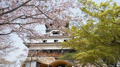 29571025_1056654744472901_5537072430733252308_n