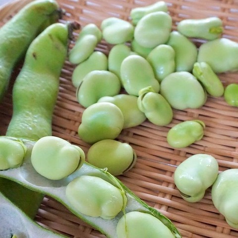 184838163_4002440756508097_6960979658425103978_n(1)