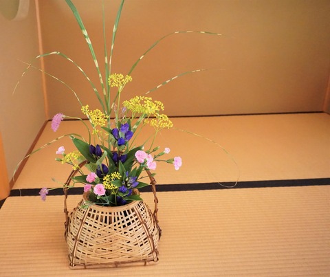 DSC01120 (2)