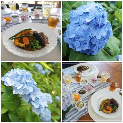 collage1