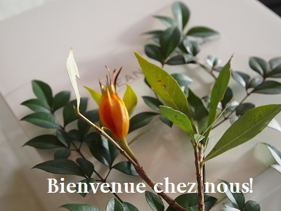 片山由美 オフィシャルブログ 「Bienvenue chez nous!」 powered by Ameba