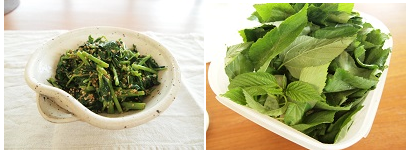 片山由美 オフィシャルブログ 「Bienvenue chez nous!」 powered by Ameba