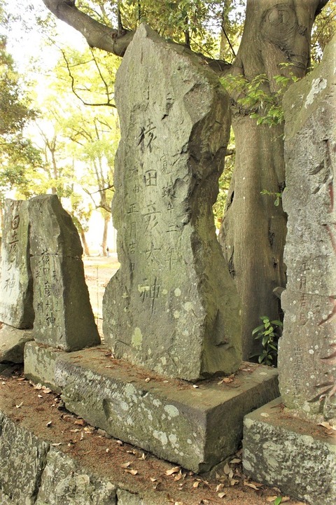 大宮神社猿田彦碑17-2
