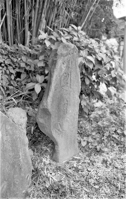 大野薬師堂梵字「アミダ」自然石塔婆正平十九年宇城市19810813 (5)