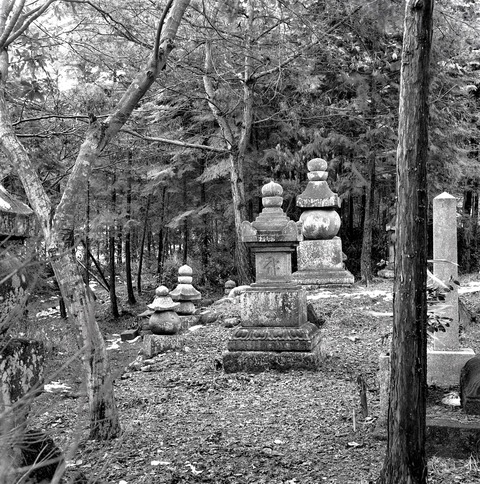 2024.03.05.柳本長岳寺墓地宝篋印塔