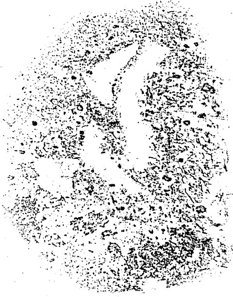 勝福寺墓地五輪塔康暦二年火輪拓影19841104