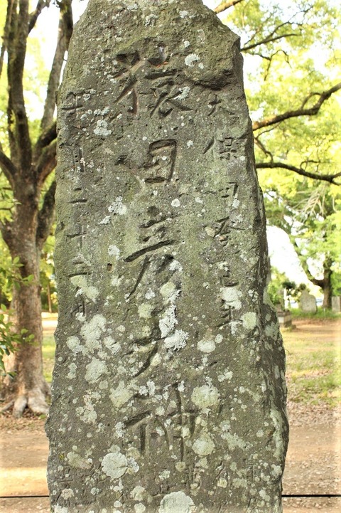 大宮神社猿田彦碑24-3