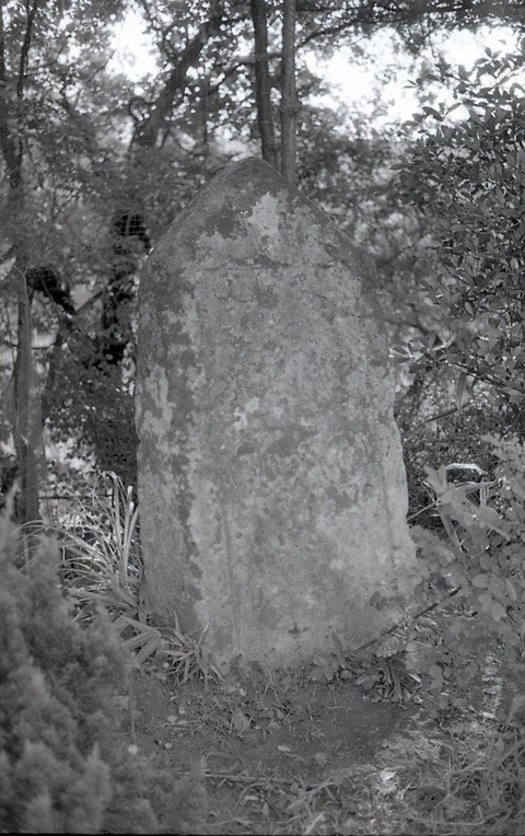 茶屋ノ森明神無銘板碑 (1)