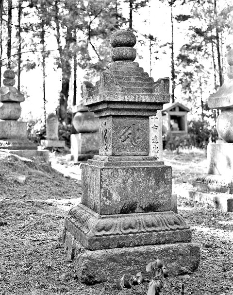 2024.03.05.柳本長岳寺墓地宝篋印塔 (4)