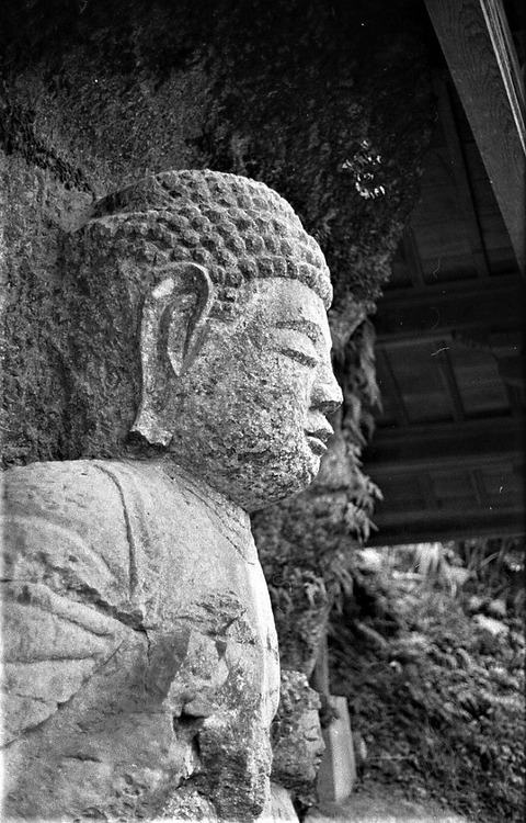 臼杵石仏山王山石仏 (7)