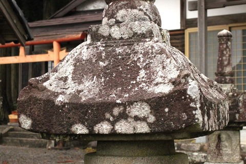 2024.03.06.寂照寺宝塔 (22)