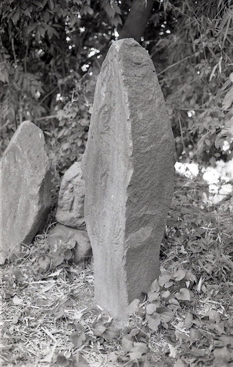 大野薬師堂梵字「アミダ」自然石塔婆正平十九年宇城市19810813 (4)