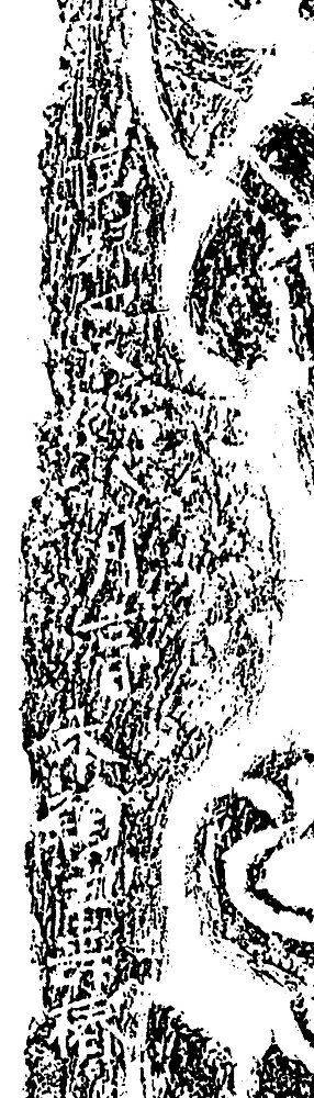 玉名郡南関町山添岩薬師石仏群 (5)