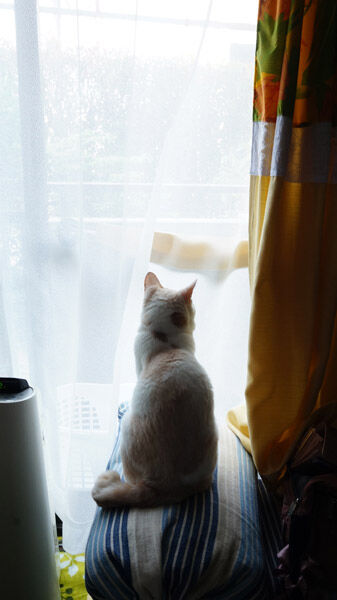 ratekoDSC07601