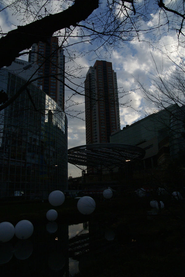 DSC03976