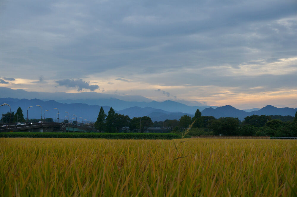 aki_DSC06733