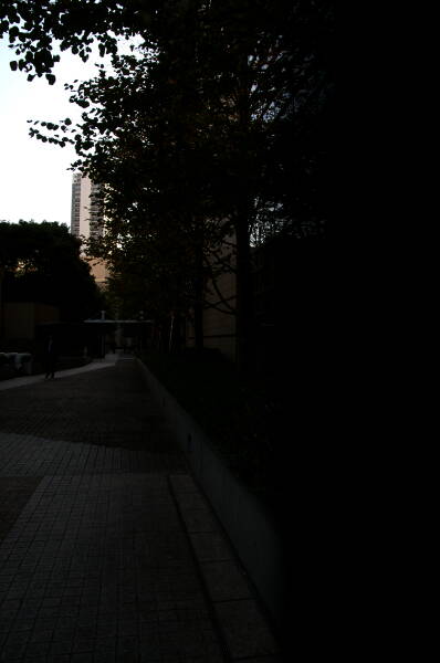 �饹�ȥ��
