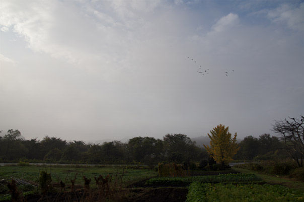 kiriDSC01566