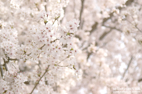 ������5485