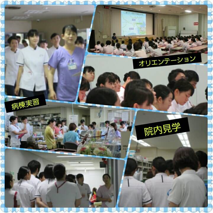 上智大学総合人間科学部看護学科基礎実習始まる 聖マリアンナ医科大学病院 看護部公式ブログ ーmari Cafeー 上智大学総合人間科学部看護学科基礎実習始まる 聖マリアンナ医科大学病院 看護部公式ブログ ーmari Cafeー