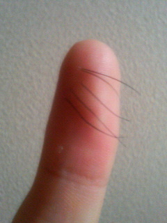 鼻毛長いの5本抜いたよ ひょっこり腹痛島