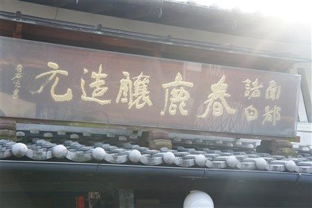 DSC06165