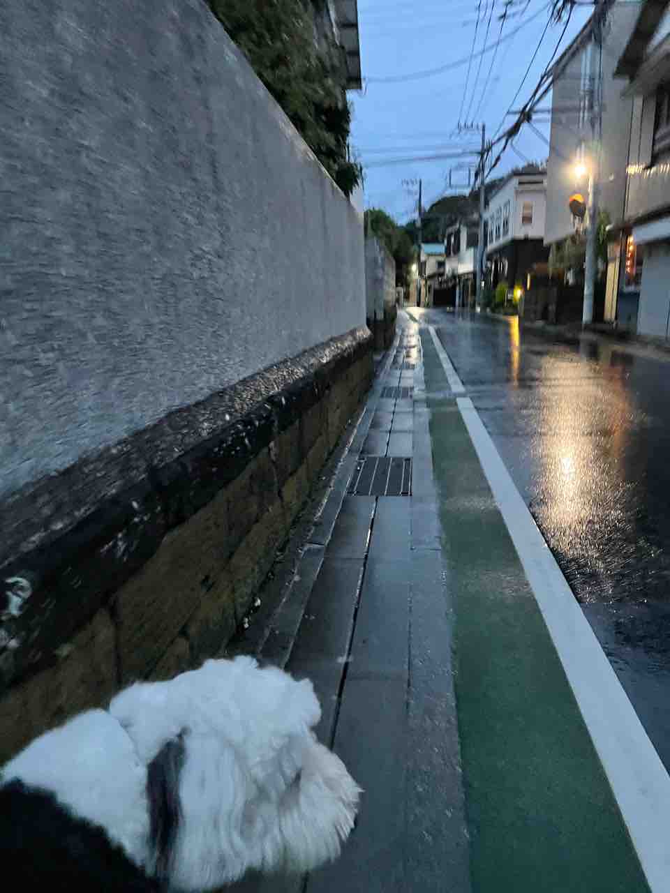 あらぬ事をした翌日は必ず雨 笑 iroを織る iroを描く iroiro 2 あらぬ事をした翌日は必ず雨 笑 iroを織る iroを描く iroiro 2