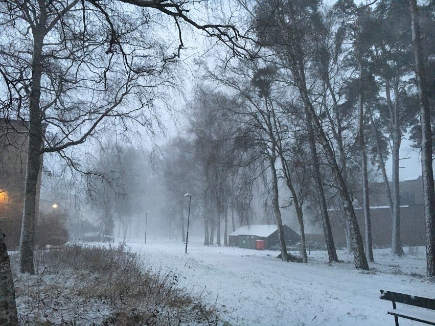 スウェーデンの冬は日照不足との上手な付き合いが必須 Stockholm Log