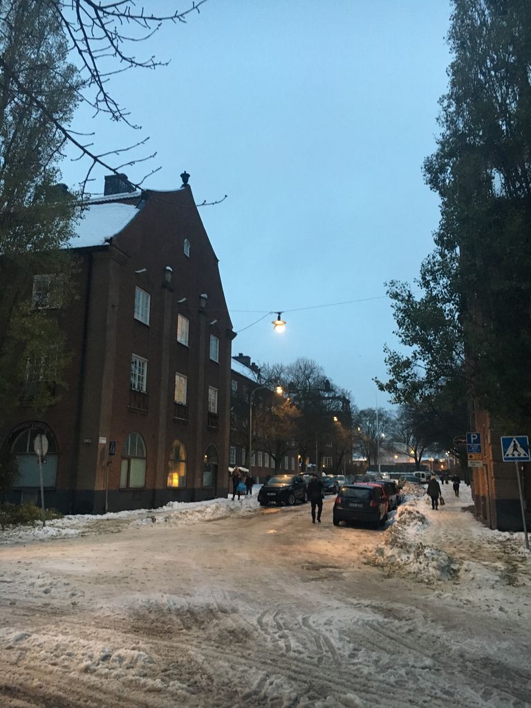 やっぱりスウェーデンの冬は暗いの Stockholm Log