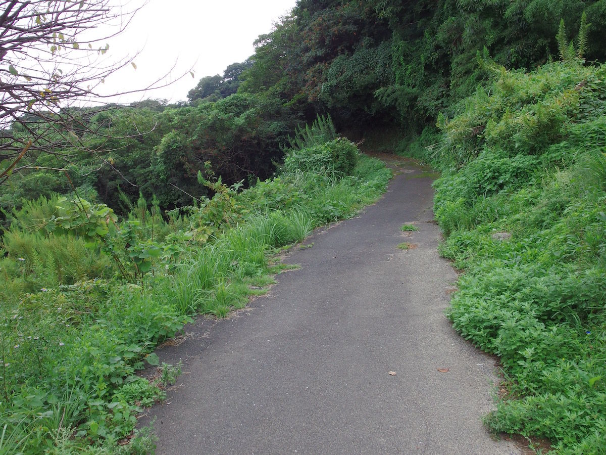 イメージ 13