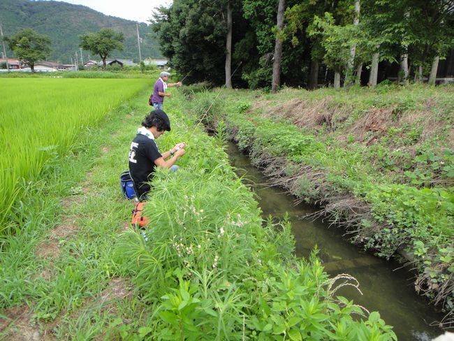 たなご釣り大会 The Stoneriver World