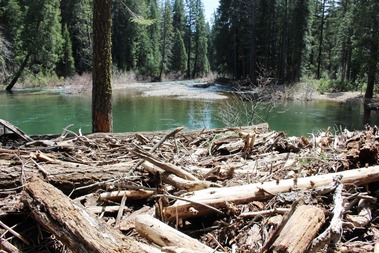 McCloud River 4-15-2017 272