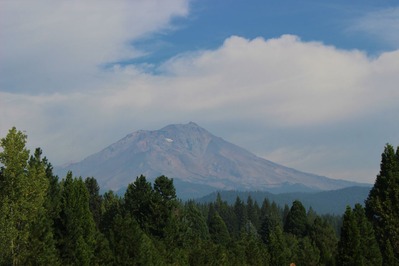 IMG_7713 (2)