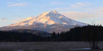 IMG_2597 (2)