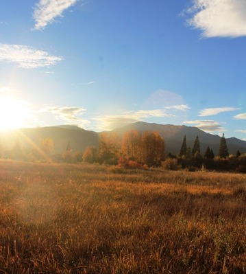  Sisson Meadow Parlk, 10-29-2014 365