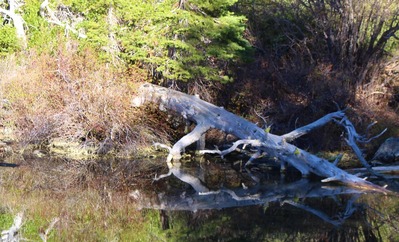 IMG_2827 (2)