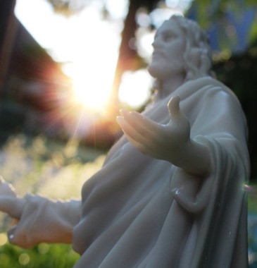 31 doc. Jesus with Shasta Daisy 6-29-2018 161