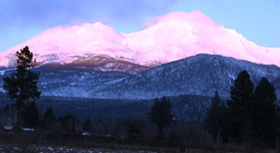 Shasta, 12-15-2015 850