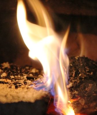 Fire, 1 web, 3-27-'12, IMG_6219