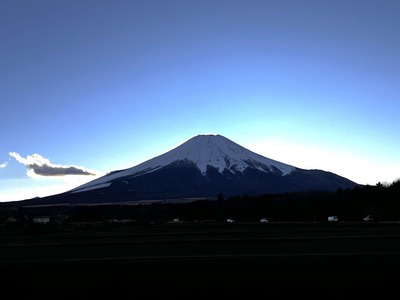image_50393089(1)