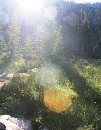  Shasta & Panther Meadows, 7-20-2014 338