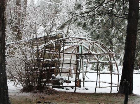 Swet Lodge, 1 web, 3-27-'12, IMG_6188