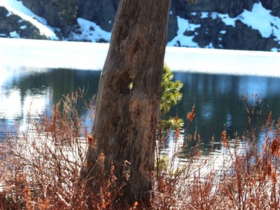 IMG_0812(1)