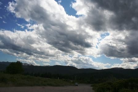  Shasta,  12 web, 6-25-'11 050