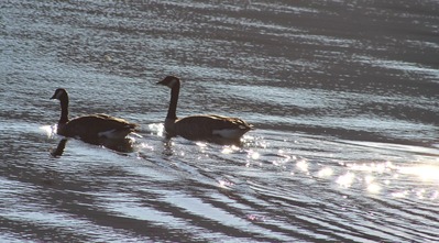 IMG_2770(S)