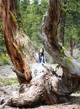On the way to Medicine Lake,4  web, 6-24-'10