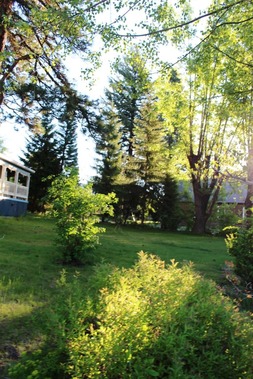 Garden, 5-22-2017 043
