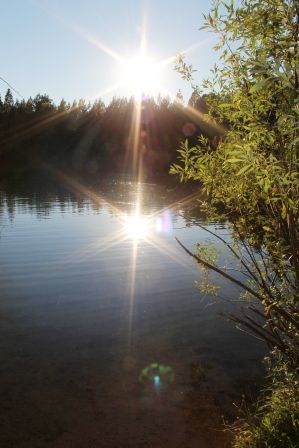Lake Siskyou, 18 web, 8-26-'11, IMG_4244