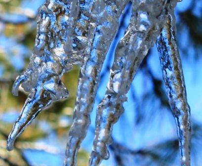 20 web, 12-29-'12, IMG_7468